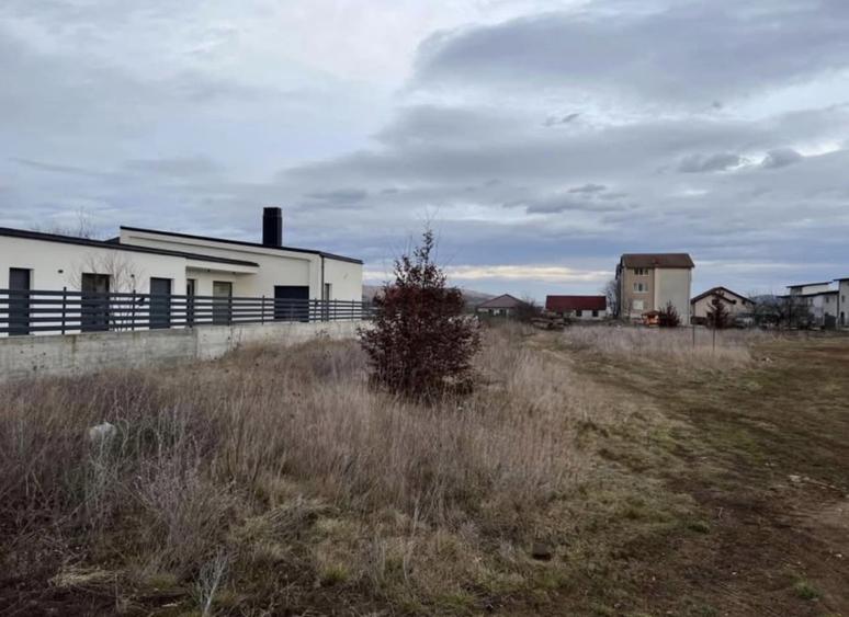 Teren intravilan | 1375 MP | UTILITATI | MICESTI |