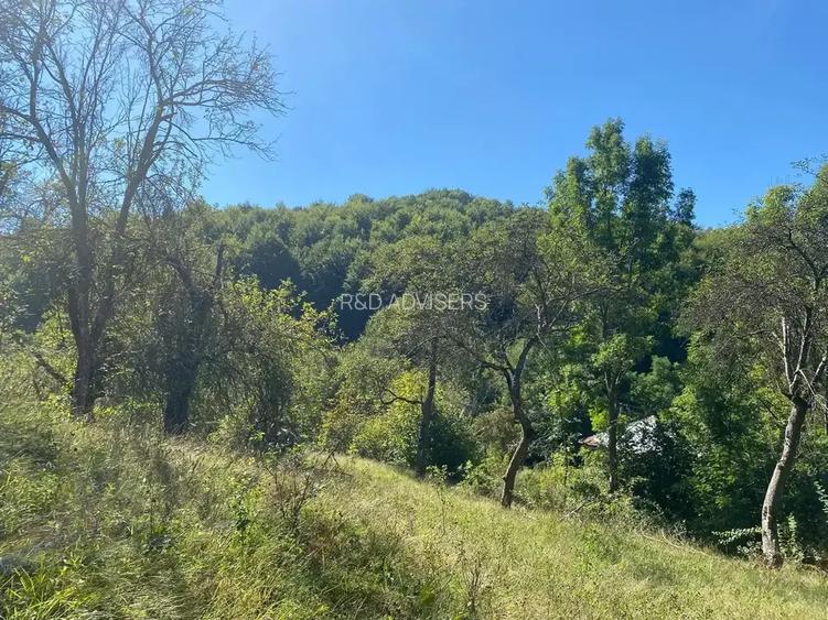 TEREN DE VANZARE INTRAVILAN  2.500MP | VISINESTI I DEALURILE SULTANULUI I - 6