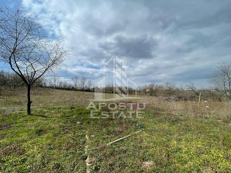 Teren intravilan pentru investitie, 2896 mp, Herneacova Timis