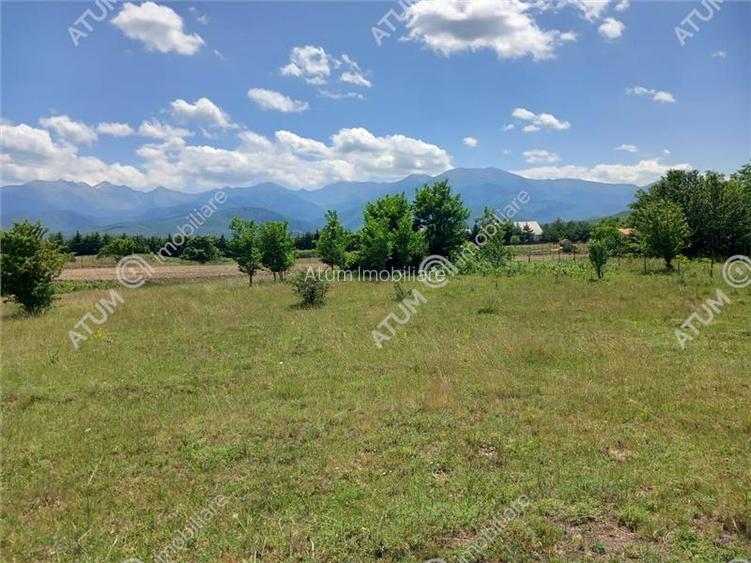 Teren intravilan 5000 mp pe Valea Avrigului, Sibiu - 6