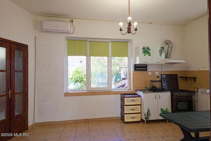 Lunei - Ion Neculce, 2 Apartamente. Mansarda 157 mp. Anexe, Lot 475 mp - 21