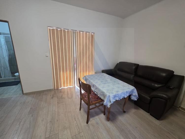Studio la curte utilat complet cu terasa zona Lazaret