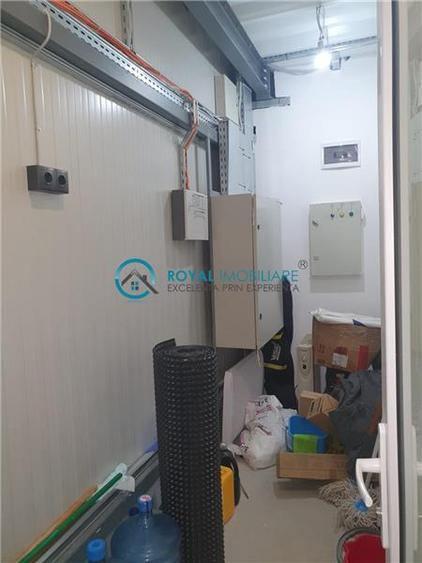 Royal Imobiliare - Vanzare spatiu industrial in zona Paulesti