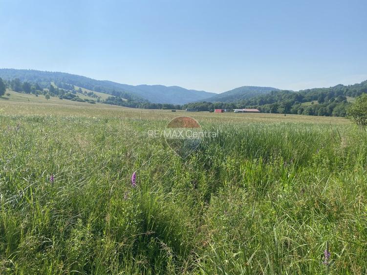 Teren 4,306mp Vama Buzaului langa Cascada Urlatoarea - 9