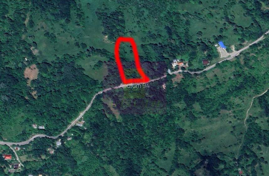 Teren intravilan de vanzare in Telega - 13