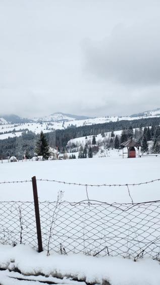 Teren de vanzare, Piatra Fantanele