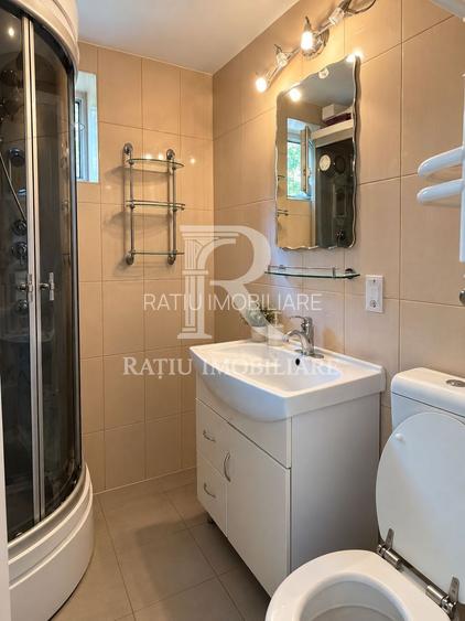 SPAȚIU COMERCIAL & BIROU | STR. TRANSILVANIEI | ORADEA - 4