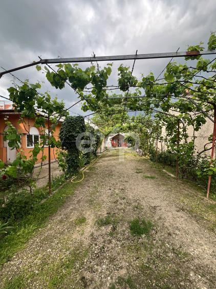 Casa individuala de vanzare in Clinceni ilfov