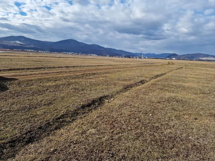 Teren intravilan 10000 mp, Piatra Neamt