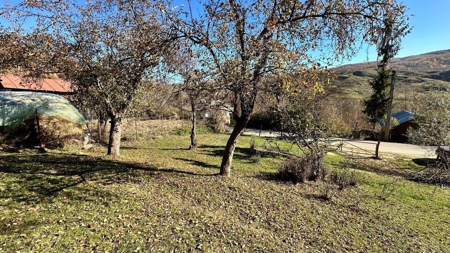 DAMBOVITA - VISINESTI - SULTANU, TEREN 4044 mp, pretabil investitie