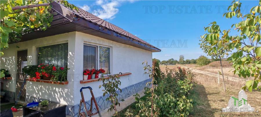 Ferma 3,3ha, din care 2,5ha intravilan, vila 7 camere, D+P+E+M, casa pentru munc
