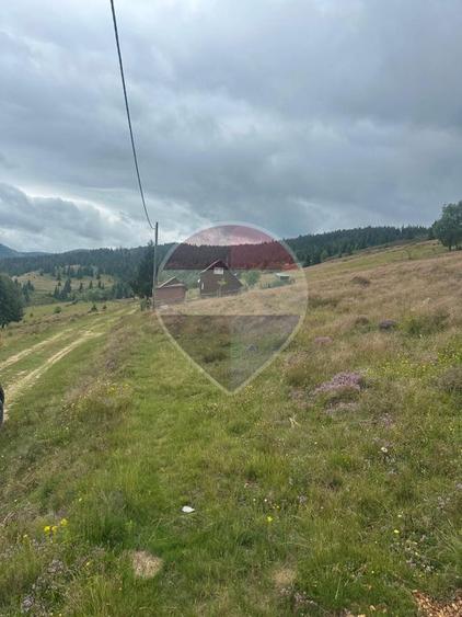 Teren 2,42 ha in Poiana Horea | Cadru montan | Potential turistic