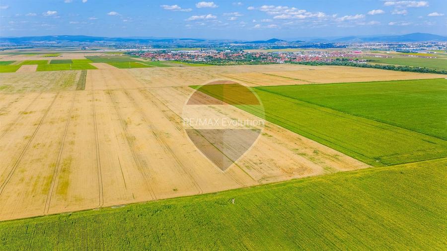 Comision 0% | Teren extravilan agricol 20.000 mp | Cristian, Brașov - 6