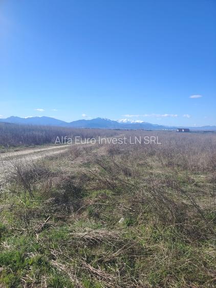 Teren intravilan de vanzare pentru constructie casa - 4