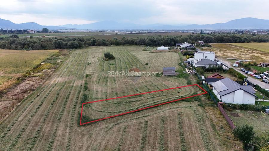 Teren 799mp Sanpetru / Strada drumul cu plopi - 2