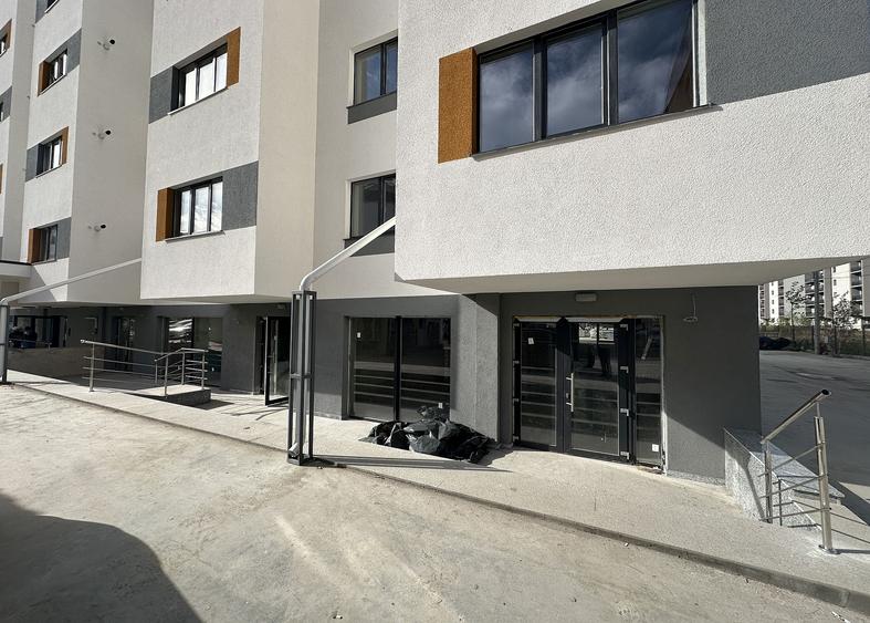 Sergent Ilie Petre 54 - spatii comerciale
