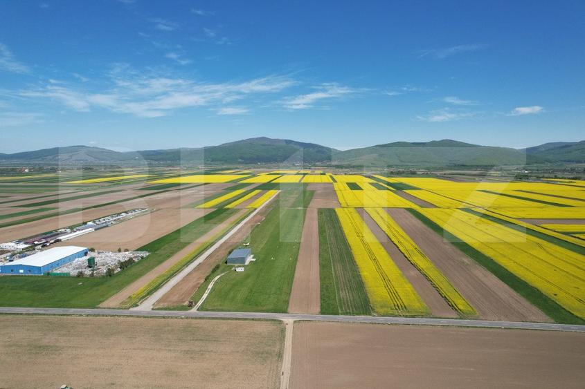Teren extravilan , 22300MP, zona Prejmer