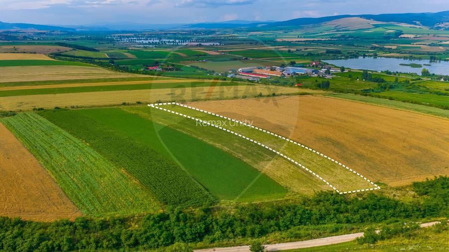 Oportunitate pentru fermieri: 10.800 mp teren arabil în Rotbav, Brașov - 9