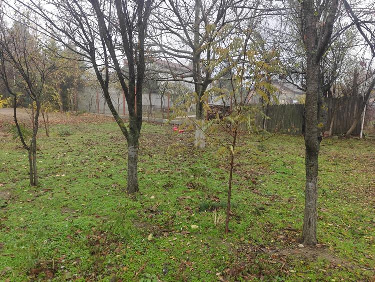 Teren intravilan 12.511 mp | Potoceni – Mărăcineni | Ideal pentru dezvoltare rez