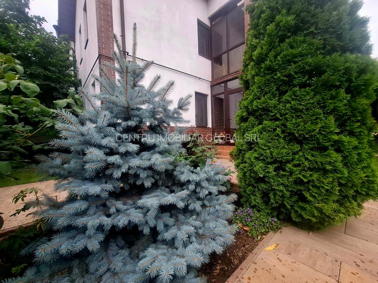 Casă caldă cu șemineu pe lemne și curte superbă – Direct proprietar - 8