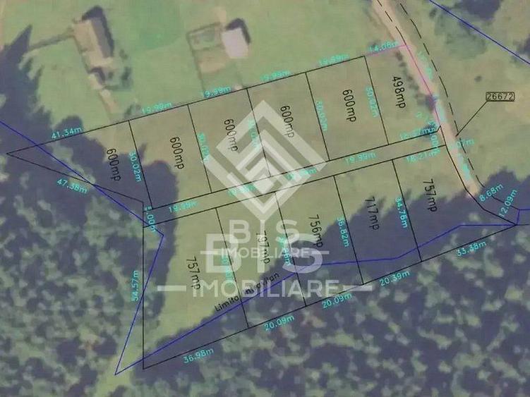 Teren intravilan parcelabil- Colibița, investitie