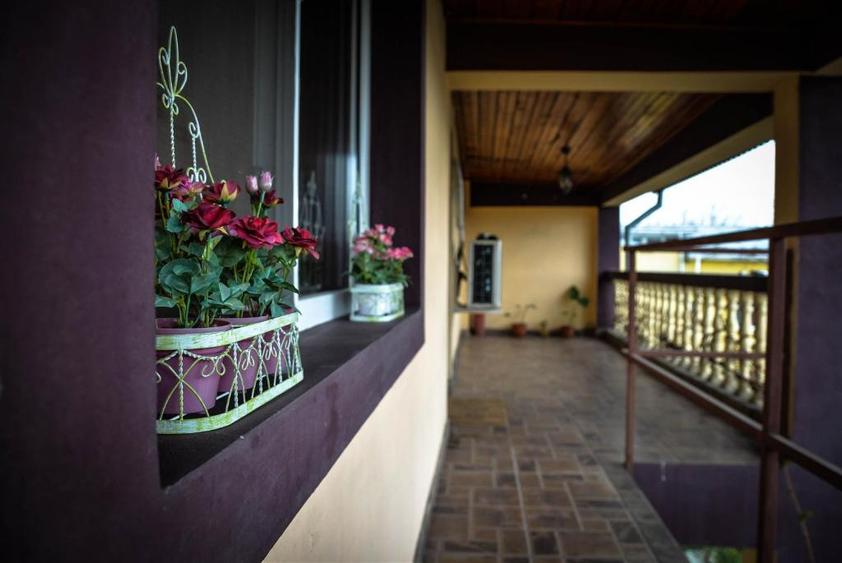 Vila multifamiliala /3 apartamente si 1 studio /Sector 2 /curte individuala