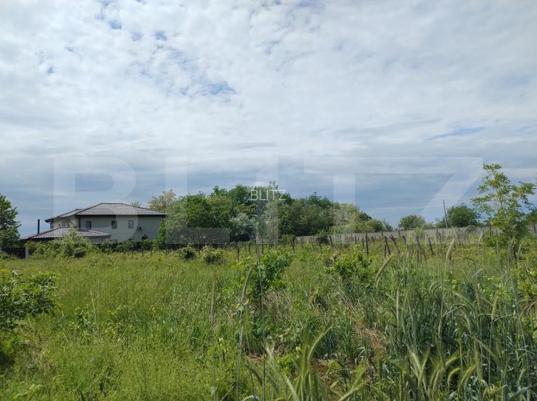 Teren intravilan, 987 mp, deschidere 19,5 m, Mânăstire Cârcea - 3