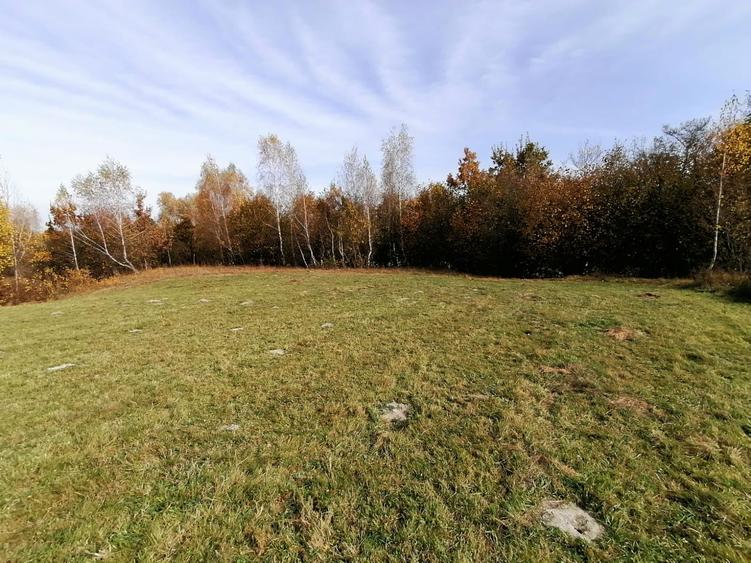 Teren in Sohodol-Bran