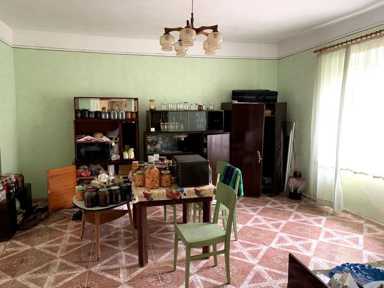 Casa individuala în Otelec - mp teren - 2.830 fronturi stradale