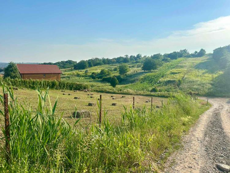 Teren intravilan 1529mp Valea Lupului zona de case la 1,3km de europeana