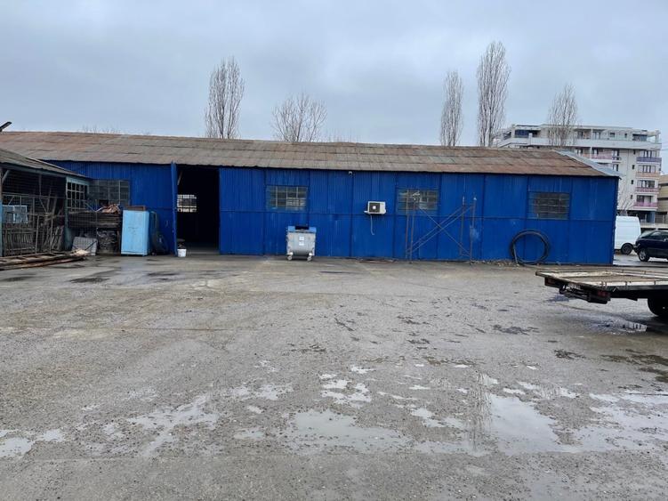 Vand teren cu hale 8.000 mp Sos. Bucium nr. 23