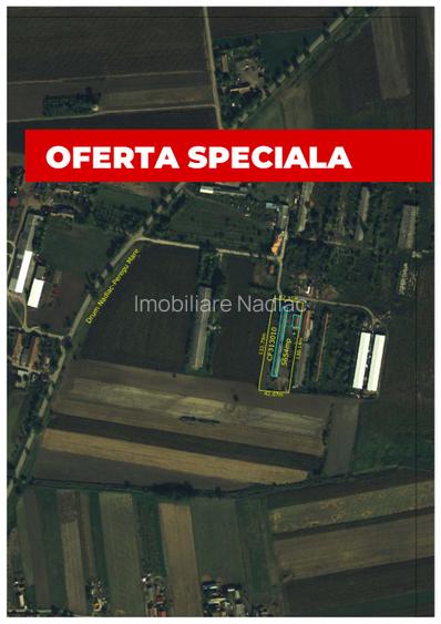 Proprietate mixtă de vânzare în Nădlac – Casă modernă + hală/grajd + teren mare - 2