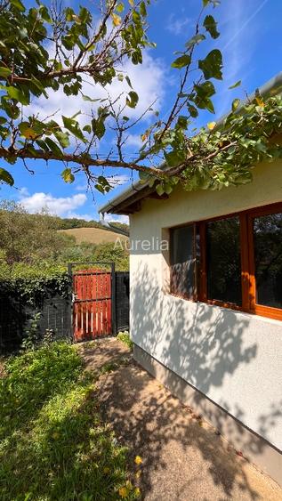 Casa cu teren Valea Lunga, Alba - 11