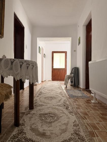 Casa individuala, 200 mp utili, 1005 mp gradina , anexe - Sag