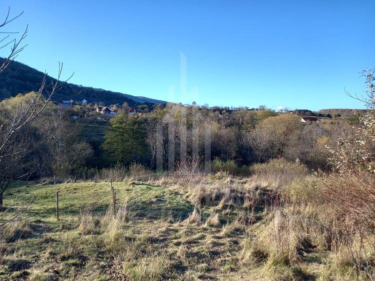 Teren intravilan Fântânele-Sibiu