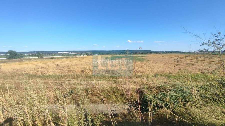 OFERTĂ PREMIUM – Teren intravilan 6.000 mp, Micești (Arges), pe DN 73 - 6