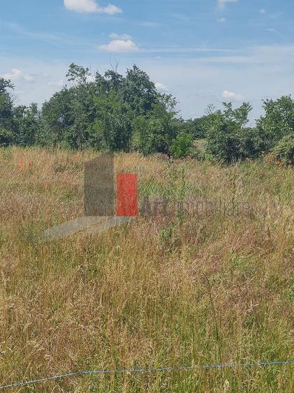 Vânzare 2 loturi de casă Dobreni Giurgiu