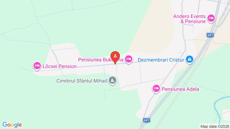 Casă Cristur – 250 mp, 2.539 mp teren, piscină, finisaje superioare