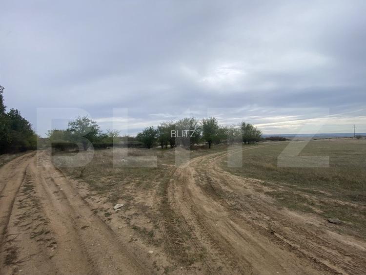 Teren partial intravilan 15000 mp, deschidere 136 m, zona Padure Cosoveni - 4