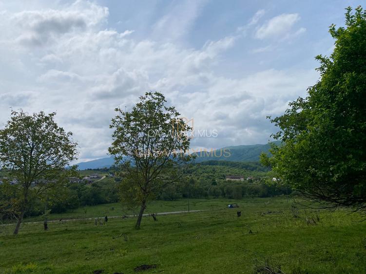 Teren de vânzare în Cisnădioara, aproape de cetate, cu priveliște superbă - 8