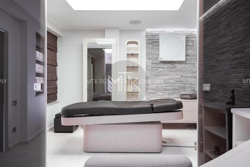 Proprietate premium cu curte – ideala pentru business-uri | LACUL TEI