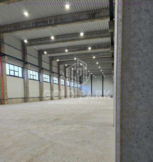 Depozit/Hala-In Park Industrial- Zona Someseni-2900 mp