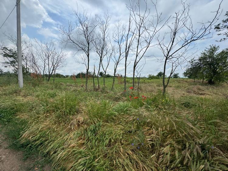 Teren Intravilan– 2.156 mp, zona Preajba