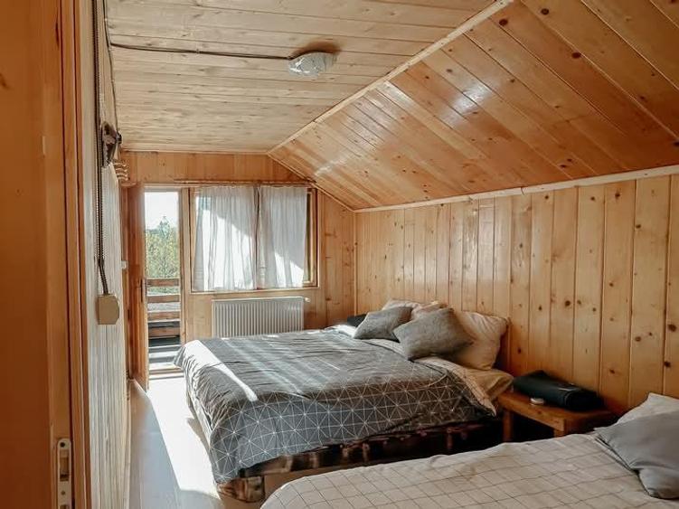Cabana - Casa de vacanta situata in Calatele Padure!