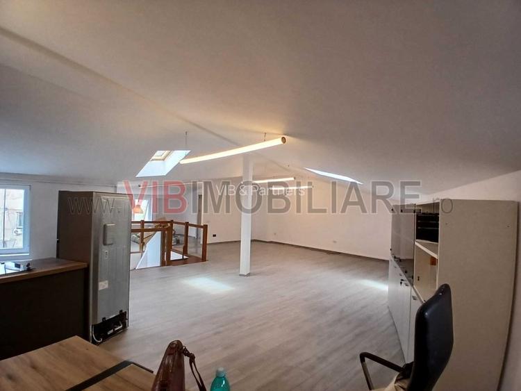 Loft spatios la Cismigiu - 2