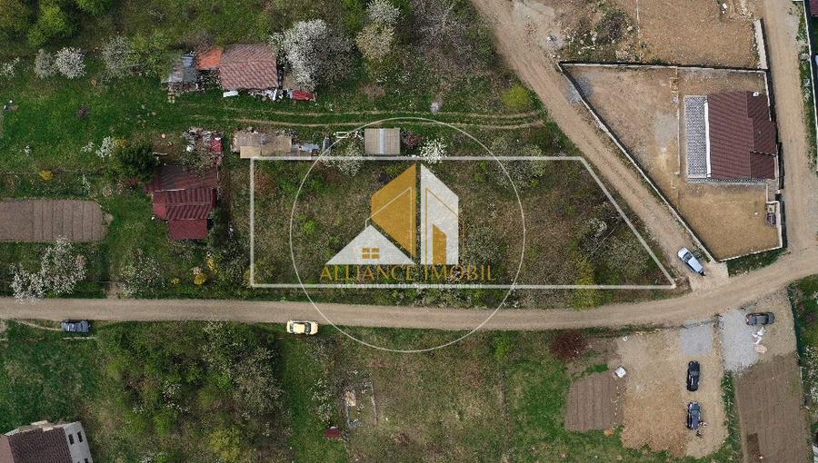 Teren extravilan de vânzare – ideal pentru casă sau parcelare în 2 loturi