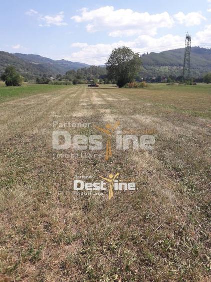 Teren de vanzare Pangarati 58.000 Euro 4488mp Intravilan