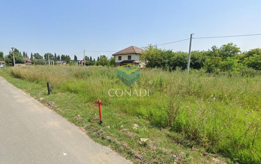 Teren pentru dezvoltare industriala/mixta Otopeni - langa Metrou