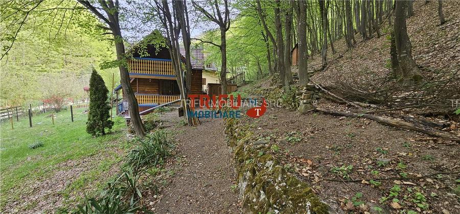 Casă de vacanță la pădure | Teren 891 mp | Valea Ighielului - 15