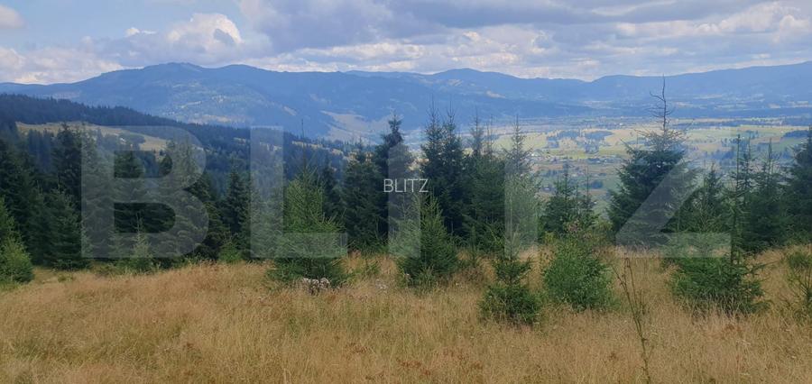 Teren extravilan de vanazre, 42.152 mp, zona Saru Dornei